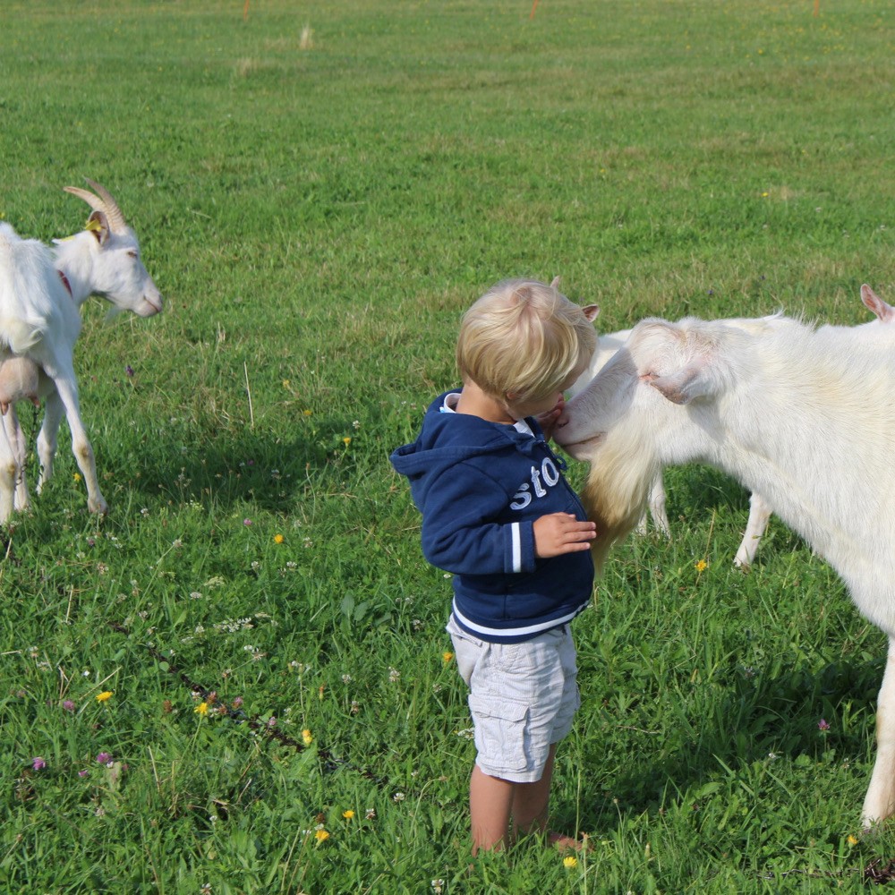 Jonge kinderen knuffelen witte geiten bij Farm Camp Lazy Slowakije