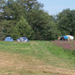 Tenten op een kampeerveld en veldbloemen