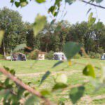Een kampeerveld met drie tenten erop op De Lemeler Esch in Overijssel