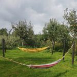 Twee hangmatten opgehangen aan bomen op Natuurkampeerterrein Amstelkade