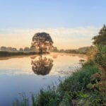 De rivier de Vecht met een boom in Overijssel