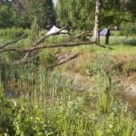 Natuur in Drenthe met een kampeerveld van Landgoed Börkerheide op de achtergrond