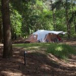 Een tent in het Drentse bos op Landgoed Börkerheide