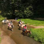 Zes paarden met ruiter in een rivier in het midden van Frankrijk