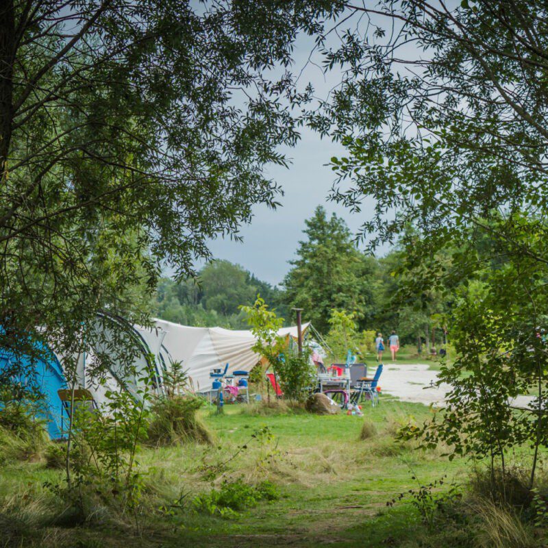 Netl de Wildste Tuin kamperen in Flevoland Bijzonderecamping.nl