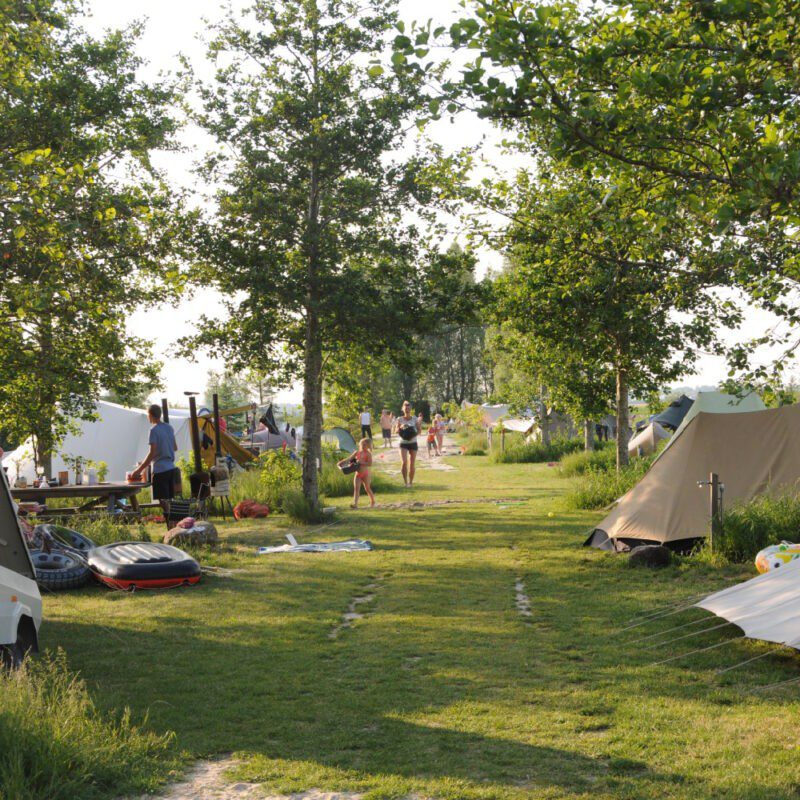 Netl de Wildste Tuin kamperen in Flevoland Bijzonderecamping.nl