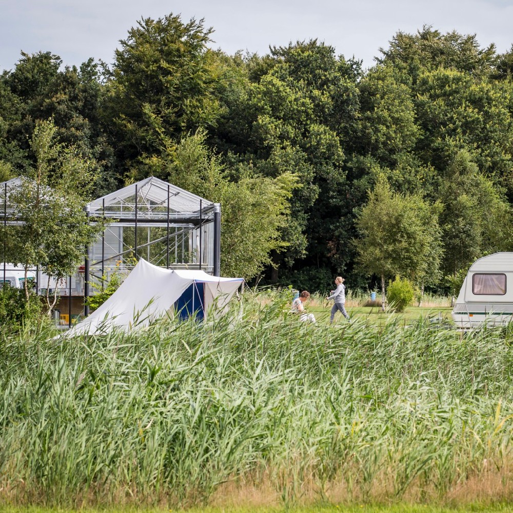 Tent en caravan naast een kas naast het bos op een natuurcamping in Noord-Holland