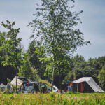 Kampeerveld met een tent en een auto erop op natuurcamping Het Bos Roept!