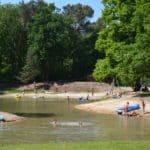 Zwemven met zwemmende en spelende kinderen in het bos in Noord-Brabant