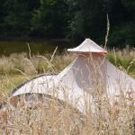 Een beige tent tussen het hoge droge gras
