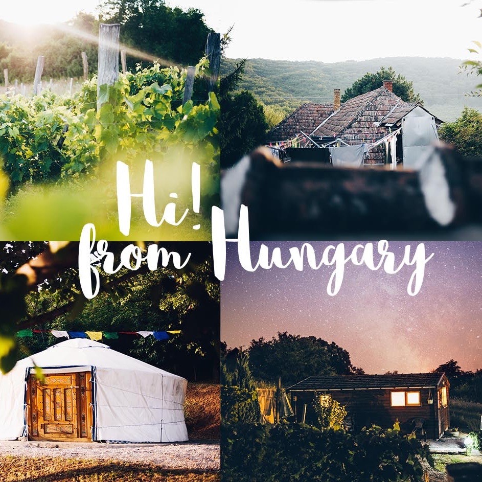 Een collage met foto's van Dutch Hill met daarop de wijngaard, de yurt, een blokhut en het huis.