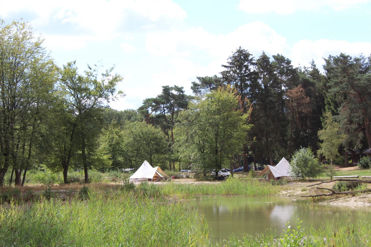 Kamperen in het bos de leukste campings Bijzonderecamping.nl