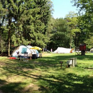 Open kampeerveld in het bos met veel schaduw