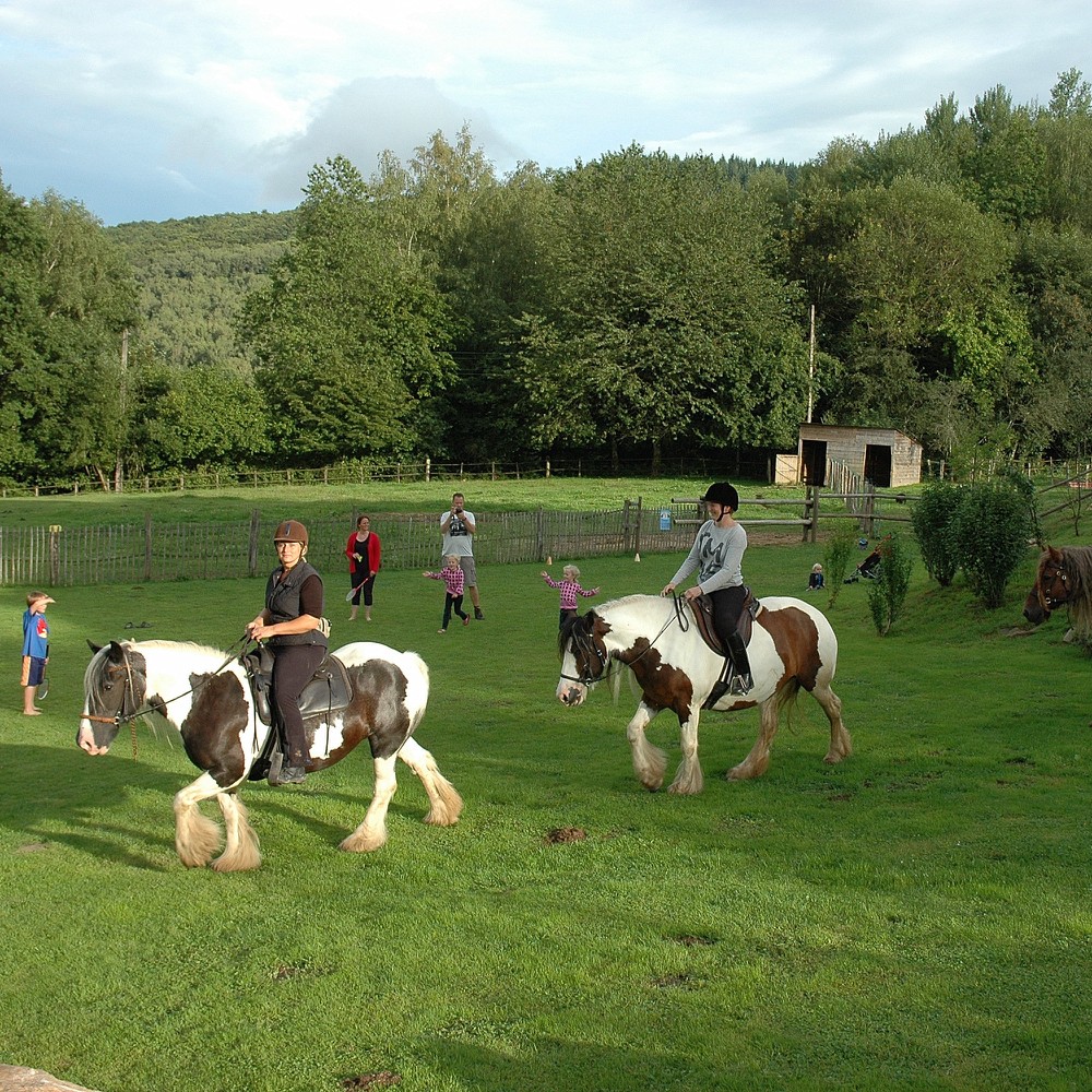 Kinderen aan het paardrijden in de wei