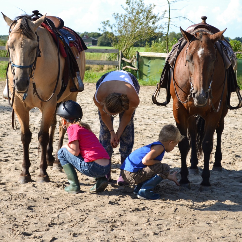 Twee paarden die door twee kinderen verzorgd worden.
