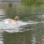 Kind aan het zwemmen in een meer in Overijssel