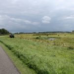 Een landweg met traktor en natuurgebied in Zeeuws Vlaanderen