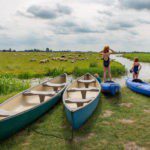 Kano's en kayaks aan de over van het riviertje, met meisjes in badpak aan de kant en schapen op de achtergrond
