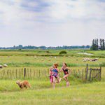Kinderen rennen door een weiland achter een hond aan, met op de achtergrond schapen in de wei.