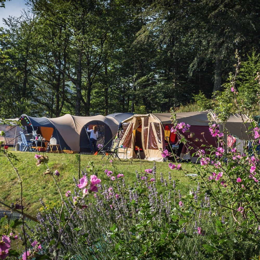 legering Bij zonsopgang Negen Kleine campings in Frankrijk - onze tips | Bijzonderecamping.nl