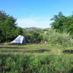 Tent op een kampeerveld op Agriturismo Villa Bussola