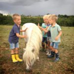 Vier kinderen met een pony op een kindvriendelijke camping in Frankrijk