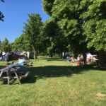Kampeerveld met picknicktafel en tenten op een landschapscamping in Groesbeek