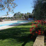 Grasveld met bloemen en bomen ernaast en een zwembad op Agricamping Romita