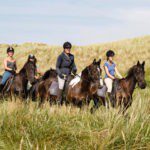 Drie paarden met ruiters rijdend door de duinen van Terschelling