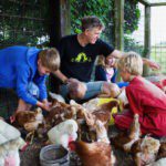 Vader met 3 kinderen die met de kippen aan het spelen zijn op een boerderij op Terschelling