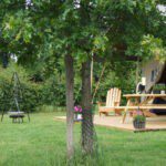 Boom met daarachter een vuurplaats en de veranda van een safaritent op een camping in Limburg