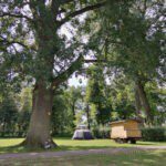 Pipowagen en een boom en tent op een kampeerveld op Stadscamping Deventer