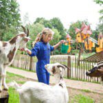 Meisje die drie geiten voert op een kindvriendelijke camping in Gelderland