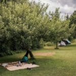 Picknick kleed onder een boom op een kampeerveld op Camping Naturplac