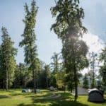 Kampeerveld met bomen en viertenten op Forest Camping Mozirje