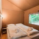 Slaapkamer met twee bedden in een safaritent