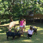 Drie kinderen met verschillende boerderijdieren op een kindvriendelijke camping in Frankrijk