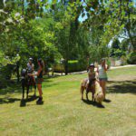 Twee moeders en twee dochters met twee pony's op een groen veld in Frankrijk