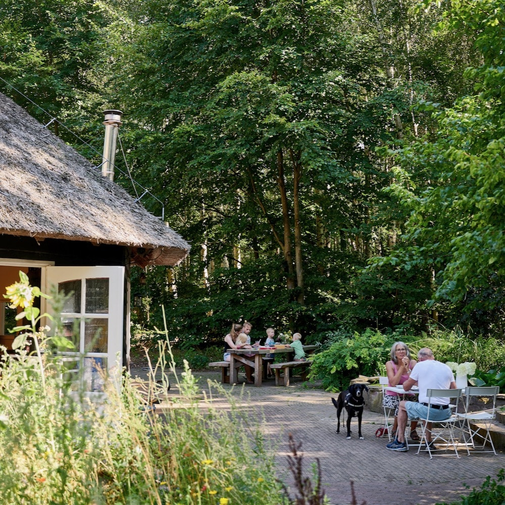 Gebouw met twee tafels en stoelen ervoor in een bos in Groningen