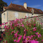 Roze bloemen met stenen gebouw erachter in Zuid-West Frankrijk