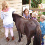 Vier kinderen met een pony op een familiecamping in Drenthe