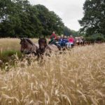 Twee paarden met wagen waarop kinderen zitten in Twente