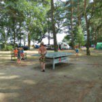 Tafeltennistafel met kinderen eromheen in het bos op Camping am Blanksee