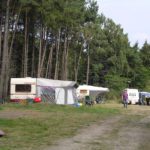 Kampeerveld met caravans en daarachter een bos in Brabant