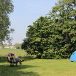 Twee mensen op stoelen op een kampeerveld in Brabant tussen bomen