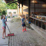 Vier kinderen voeren hooi aan boerderijdieren