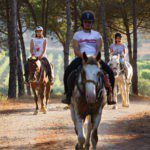 Drie paarden met ruiters lopend door het bos op Elba