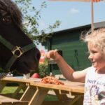 Meisje aait een paard op Farmcamps 't Looveld