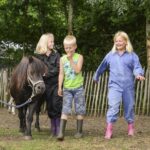Drie kinderen met een pony op een boerderij in Drenthe