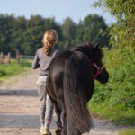 Meisje met paard lopend over een pad in Brabant